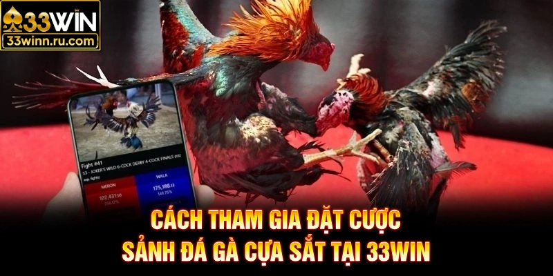 Cách tham gia đặt cược sảnh đá gà cựa sắt tại 33win