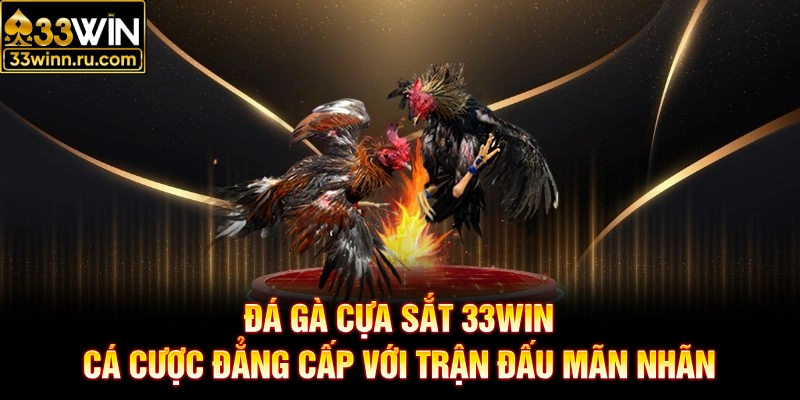 Đá Gà Cựa Sắt 33WIN - Cá Cược Đẳng Cấp Với Trận Đấu Mãn Nhãn