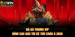 Đá Gà Thomo Vip - Đỉnh Cao Giải Trí Kê Thủ Châu Á 2026