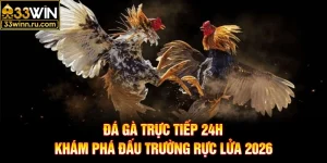 Đá Gà Trực Tiếp 24h - Khám Phá Đấu Trường Rực Lửa 2026