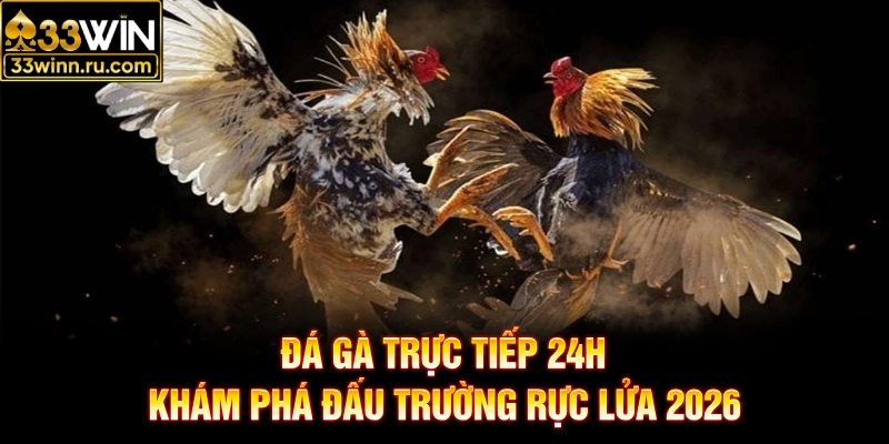 Đá Gà Trực Tiếp 24h - Khám Phá Đấu Trường Rực Lửa 2026