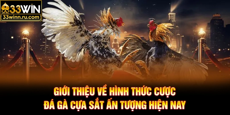 Giới thiệu về hình thức cược đá gà cựa sắt ấn tượng hiện nay