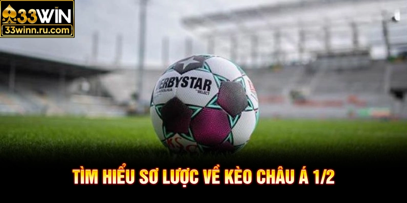 Tìm hiểu sơ lược về kèo châu Á 1/2