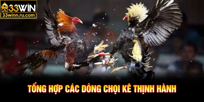 Tổng hợp các dòng chọi kê thịnh hành