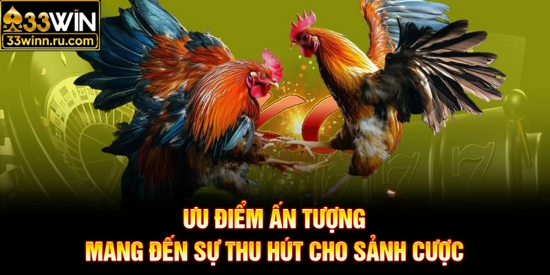 Ưu điểm ấn tượng mang đến sự thu hút cho sảnh cược